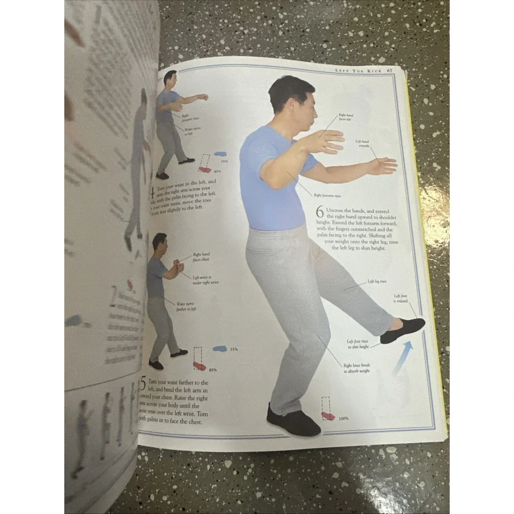 The Complete Book of T'Ai Chi by McFarlane, Stewart; Hong, Tan